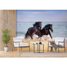 Een fotobehang van Shire-paarden langs het strand met de zee op de achtergrond, ideaal voor een bedrijfsruimte.