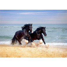 Een fotobehang van Shire-paarden langs het strand met een helderblauwe zee op de achtergrond.