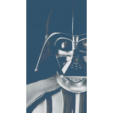 Star Wars Darth Vader fotobehang, met de iconische schurk in actie.