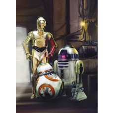 Fotobehang van drie iconische droids uit Star Wars: R2-D2, C-3PO, en BB-8.