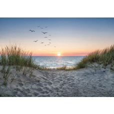 Fotobehang strand, duinen en zee bij zonsondergang met vogels in de lucht en zachte kleuren van de ondergaande zon.