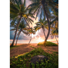 Paradijs strand fotobehang, met het stralende zonlicht van Puerto Rico.