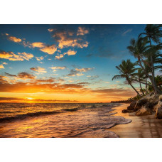 Fotobehang van een paradijselijk strand met palmbomen en een zonsondergang boven de zee, waar de lucht in warme tinten gloeit.