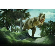 Tyrannosaurus Rex en andere dinosaurussen zijn te zien in dit indrukwekkende fotobehang dat de prehistorie weergeeft.