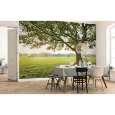 Fotobehang The Magic Tree - 450 x 280 cm