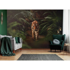 Fotobehang Tijger in de Jungle