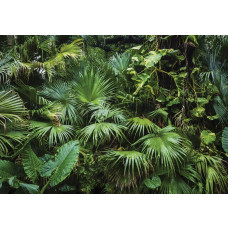 Tropische jungle met weelderige groene planten en exotische bloemen, fotobehang dat een oase van rust en natuur creëert.