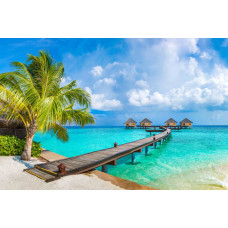 Fotobehang van een tropische vakantie op de Malediven, met palmbomen langs het strand en de turquoise zee.