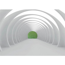 Een 3D fotobehang van een tunnel naar groen, ideaal voor een rustgevende uitstraling in elke ruimte.