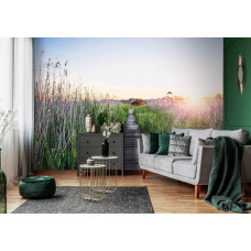 Fotobehang wandelpad in de avondzon met een houten pad tussen hoog gras en een warme zonsondergang; ideaal voor een rustgevende sfeer in de woonkamer.