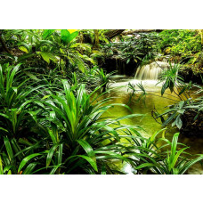 Fotobehang van een waterval tussen tropische groene planten in een jungle.