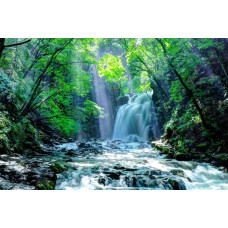 Fotobehang van een waterval in een zonnig bos, waar het water door een regenwoud en jungle stroomt.