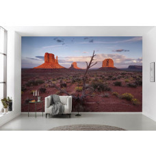 Fotobehang Welcome to the Wild West! - 450 x 280 cm