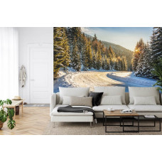 Een fotobehang met een betoverend sneeuwlandschap in een winterbos, ideaal voor een woonkamer.