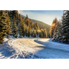 Fotobehang van een winterbos met besneeuwde bomen en een zonsondergang die de lucht in prachtige tinten kleurt.