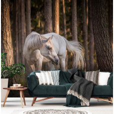 Fotobehang Wit Paard in het Bos