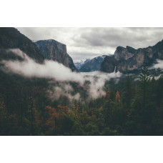 Fotobehang van het Yosemite National Park, met indrukwekkende bergen en dichte bossen in een schilderachtig landschap.