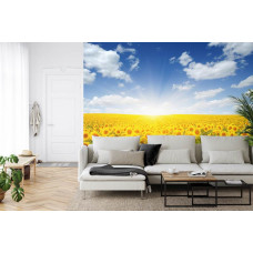 Fotobehang Zonnebloemen in het Zonlicht