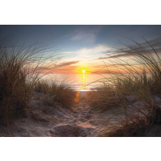 Dit fotobehang toont een adembenemende zonsondergang op het strand, met zicht op zee en duinen in warme tinten.