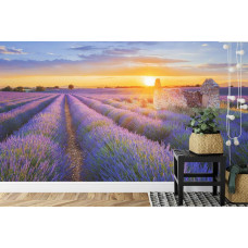 Een fotobehang met een schilderachtige zonsondergang boven lavendelbloemen, afgebeeld in een slaapkamer en woonkamer.