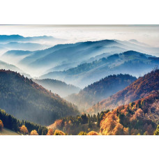 Fotobehang van het Zwarte Woud, waar de bergen en bossen een weelderig en indrukwekkend landschap vormen.