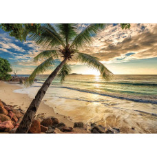 Fotobehang van een zonsondergang aan een tropisch strand met palmbomen en de laatste zonnestralen die de lucht rood en oranje kleuren.