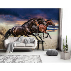 Een fotobehang met rennende paarden voor de huiskamer.