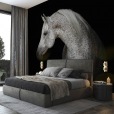 Een fotobehang van een wit paard voor de slaapkamer.