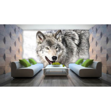 Wolf Fotobehang