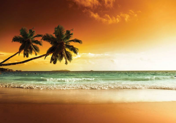 Fotobehang Palmbomen boven Strand en Zee